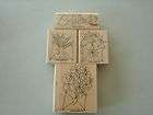 Stampin Up stamp set DECORATIVE BRANCH MISSING 2 items in Fishs Craft 