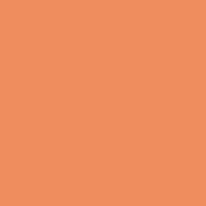  Delta Air Dry PermEnamel Paints iridescent orange/gold 