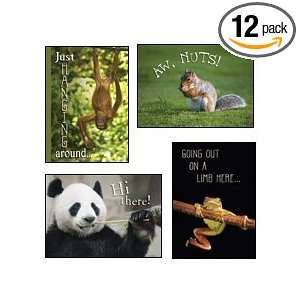com Scripture Greeting Cards KJV Boxed Thinking of You   Zoo Friends 