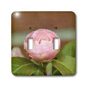   Flowers  Photography   Light Switch Covers   double toggle switch