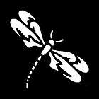 Dragonfly Vinyl Car Decals, Graphics, White (5 x 5)