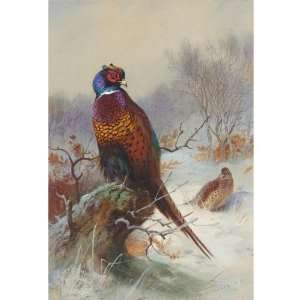  Hand Made Oil Reproduction   Archibald Thorburn   32 x 32 