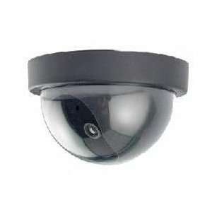    Dome Dummy Camera with Motion Activated Light: Camera & Photo