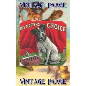   Greetings Card Dogs His Masters Choice Vintage Image: Home & Kitchen