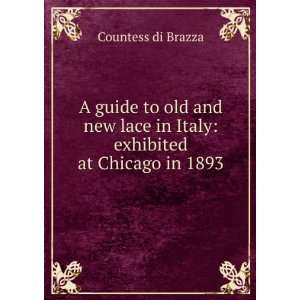   lace in Italy exhibited at Chicago in 1893 Countess di Brazza Books