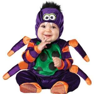  Itsy Bitsy Spider Infant / Toddler Costume: Health 