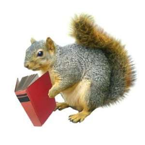  Squirrel with Book Sticker Arts, Crafts & Sewing