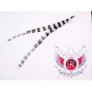   Grizzly Hair Extension Feather (White/Black) Long Length Beauty