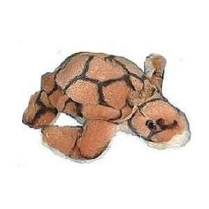  7 inch Baby Loggerhead Sea turtle plush: Toys & Games