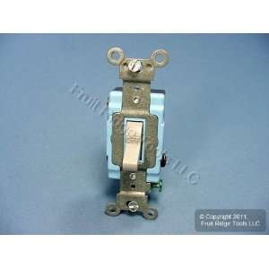   Toggle Wall Light Switch DOUBLE POLE 15A 1202 2GY: Home Improvement