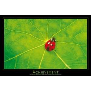  Achievement Quote Ladybird Insect PAPER POSTER measures 36 