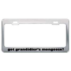 Got GrandidierS Mongoose? Animals Pets Metal License Plate Frame 