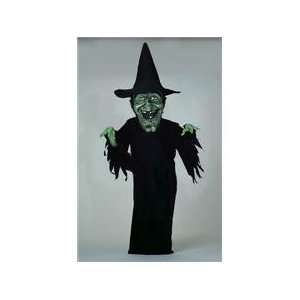  Witch Halloween Mascot Costume Toys & Games