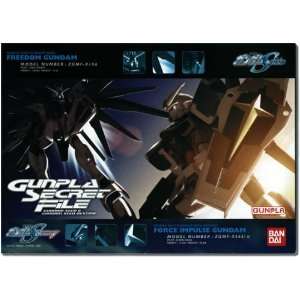 Gundam Seed Destiny Magazine
