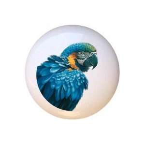  Birds Blue Gold Macaw Drawer Pull Knob