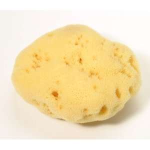   Beauty Silk Fine Large All Natural Sea Sponge   Made in Italy: Beauty