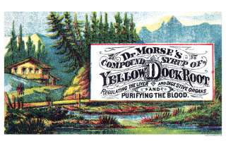 Yellow Dock Root Victorian Patent Quack Medicine Poster  