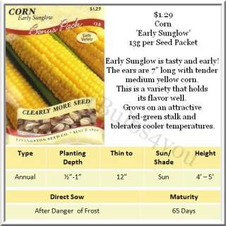 Corn / Ornamental Corn Seeds Different Varieties  