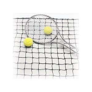  Paddle Tennis Net (EA)