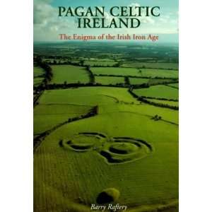  Pagan Celtic Ireland The Enigma of the Irish Iron Age 