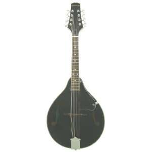  The Paco A style Mandolin Is Perfect For Bluegrass, Celtic 