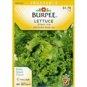  Burpee 66274 Lettuce, Leaf Green Ice Seed Packet Patio, Lawn & Garden