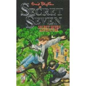    The Secret Seven Adventure (9780340569818) Enid Blyton Books
