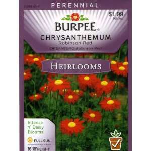   Heirloom Chrysanthemum Robinson Red Seed Packet Patio, Lawn & Garden
