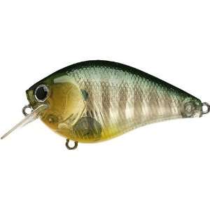   Fat CB BDS 2 Ghst Sunfsh Crank Bait Fishing Lure: Sports & Outdoors