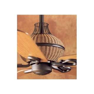 Hunter Fans 28402 Captiva Ceiling Fan Iron with Medium Pine / Light 