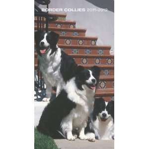   : Border Collies 2011 Two Year Pocket Planner (9781421667751): Books