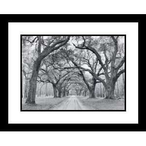  Oak Arches by Jim Morris   Framed Artwork