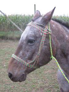Horse Bridle Nylon Rope Blue/Green/Orange  