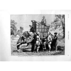 1876 PRINCE WALES ELEPHANT NEPAULESE TERAI OLD PRINT 