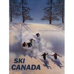  Beautiful Ski in Canada Trail Speed Competition Skiing Winter Sport 