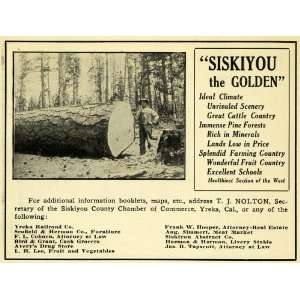  1908 Ad Siskiyou California Yerka Trees Agricultural 