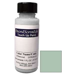   Touch Up Paint for 2002 Nissan Almera (color code FX0) and Clearcoat