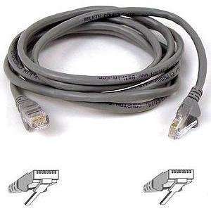    Belkin Network cable   100 ft ( A3L791 100 P ) Electronics