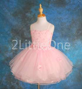 Wedding Flower Girl Pageant Holiday Party Dresses 2T 7  