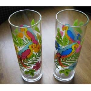  Tropical Parrot Tall Acrylic Cocktail Glasses Set of 2 