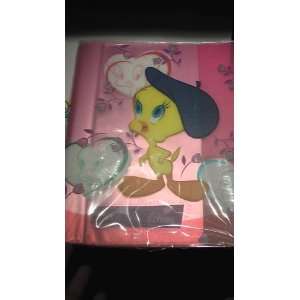  Looney Tunes Plastic Folders Toys & Games