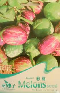B028 Melons Seed Pack Eggplant Solanum melongena  