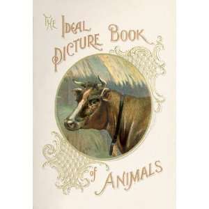   Picture Book of Animals 12X18 Art Paper with Black Frame Home