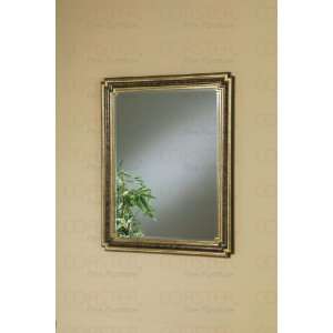 Gold And Bronze Frame Mirror 