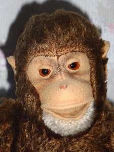 Large Steiff Jocko Monkey Displayed Condition All Original  