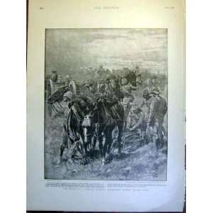  Artillery Horses Charlton Roberts Boer War Africa 1900