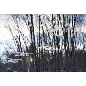  Reflection 7, Limited Edition Photograph, Home Decor 