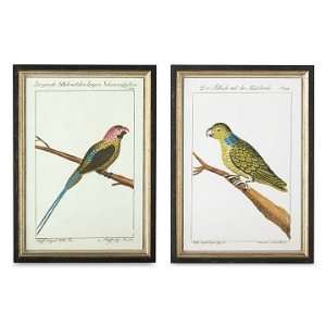 Williams Sonoma Home Exotic Bird Artwork, Small Set of 2  