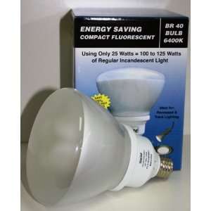    Sialite 25Watts Compact Fluorescent BR40 Daylight