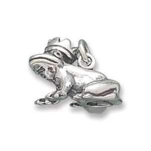 Frog Prince Charm: Jewelry
